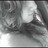 summerxo profile pic