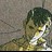 jonesp1090 profile pic