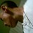 69cabesonjose profile pic