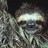 Sloth1 profile pic
