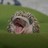 Kaerleksbarnet profile pic