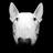 bullterrierman profile pic