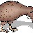 kiwipirate2436 profile pic
