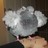 flurry profile pic