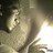 emodist profile pic