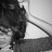 sweet troubled soul. profile pic