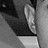 Vidalfyre profile pic