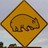 wombatgal profile pic