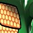 Stoma profile pic