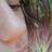 Britawny profile pic