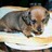 kc_6201 profile pic
