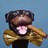 Triumph The Insult Comic Dog profile pic