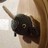 EienDesign profile pic