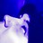 Randroid profile pic