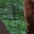LionelM profile pic