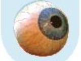 helo