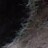 pandabunny profile pic