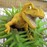 Supersaurus Rex profile pic