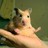 laerwen profile pic