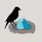 WilcoHummingbird profile pic