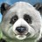 picturegrill profile pic