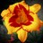 Ms6101985 profile pic