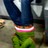 morecereal profile pic