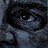 aaanach profile pic