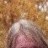 Calabasa profile pic