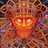 Terrestrial_soup profile pic