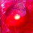 Pyrkagia profile pic