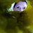Seria profile pic