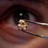 TinyTeddy profile pic