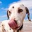 pablo_lune profile pic