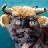 jewel947 profile pic