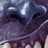 drawingnut profile pic