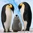 JRen profile pic