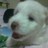 tashie21 profile pic