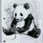 panda sketch profile pic
