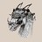 pleshe profile pic