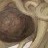 NoodilyAppendage profile pic