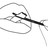 LLLLYDIA profile pic