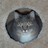 Riograce profile pic