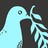 chaopi profile pic