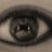BlahBlahBlahShutUp profile pic