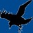 libraryraven profile pic