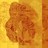 graphicality profile pic