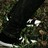 fourwordslash profile pic