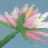 Kitty_Kura profile pic