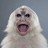 thingsgreen profile pic